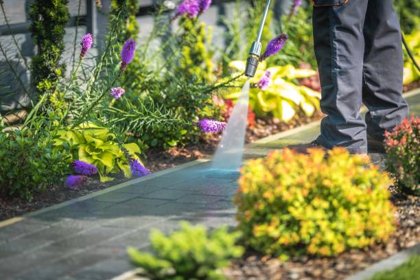 Best Driveway Cleaning and Restoration in Tonka Bay, MN